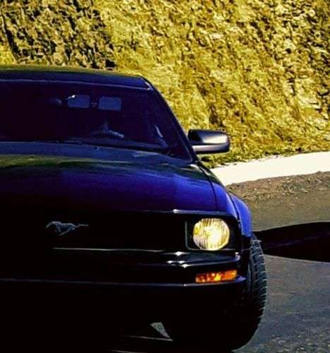 imagen de Mustang Ford 2007_1