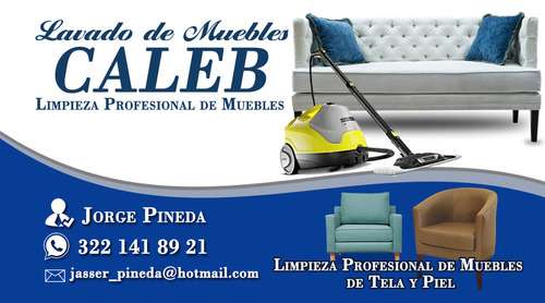 imagen de Lavado de Muebles CALEB_1