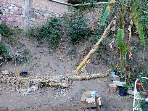 imagen de TERRENO EN VENTA _1