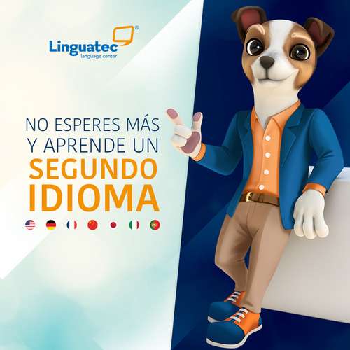 imagen de ingles en 10 meses_1