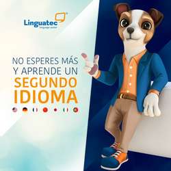 imagen de ingles en 10 meses_1
