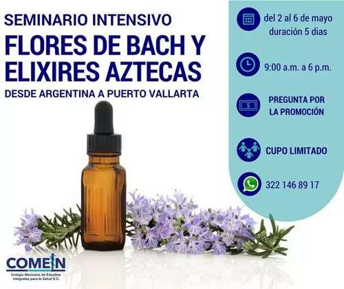 imagen de Seminario Intensivo_1