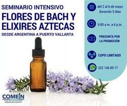 imagen de Seminario Intensivo_1