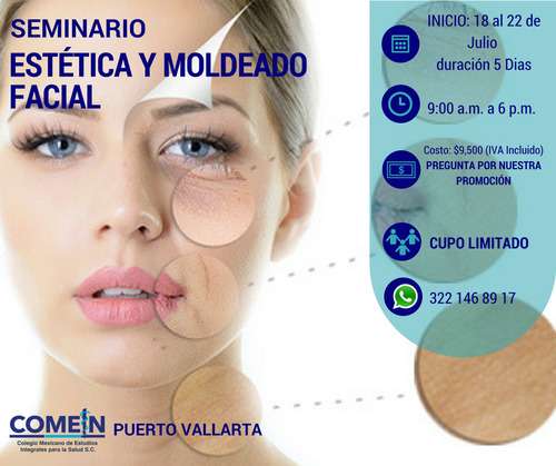 imagen de Seminario Intensivo_1