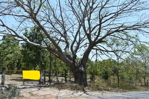 imagen de TERRENO SOBRE LA CARRETERA LAS JUNTAS-LAS PALMAS _1
