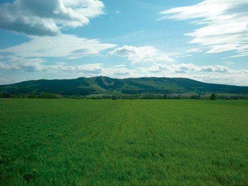 imagen de Terrenos para Mama_1