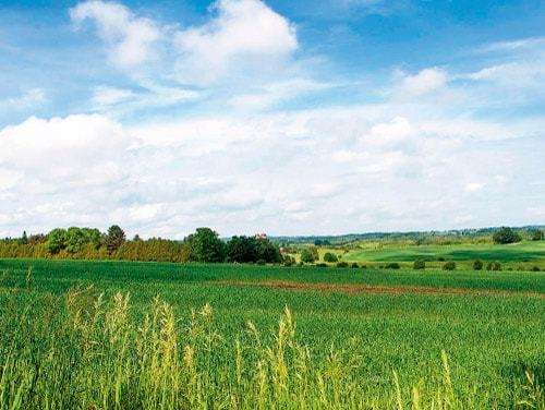 imagen de Regala Terreno a Mama_1