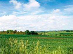 imagen de Regala Terreno a Mama_1