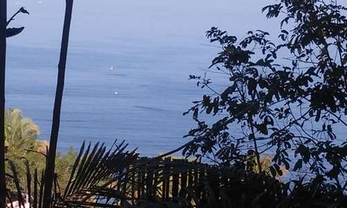 imagen de urgente venta_1