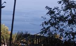 imagen de urgente venta_1