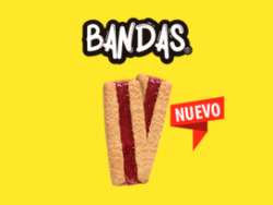 imagen de Bandas _1