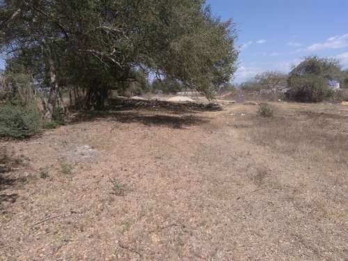 imagen de VENTA TERRENO EN IXTAPA PUERTO VALLARTA_1