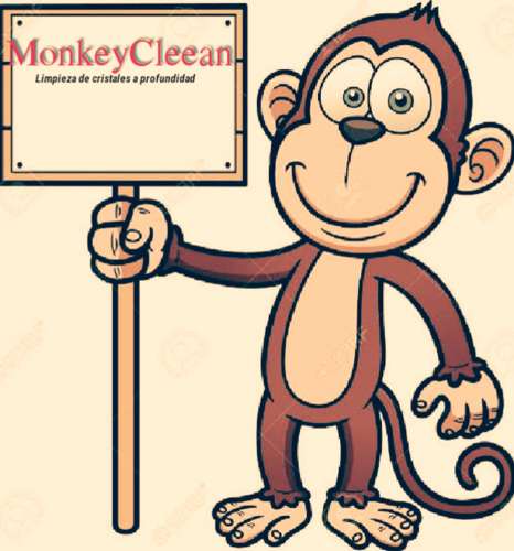 imagen de Limpieza de cristales a profundidad_1