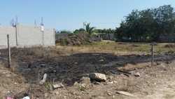 imagen de Venta de Terreno en Mezcales_1