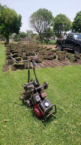 imagen de PASTO EN ROLLO y tierra de jardin en cuernavaca_1