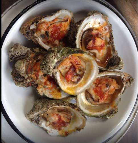 imagen de Ostiones_1