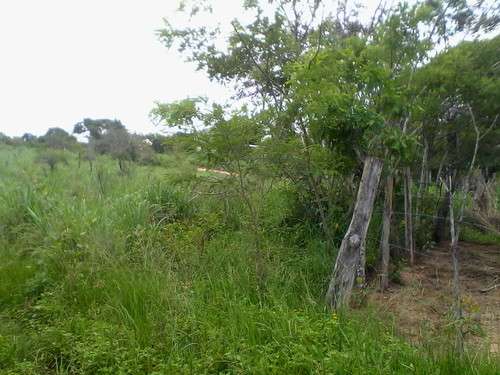 imagen de Terreno Gavilanes 2_1