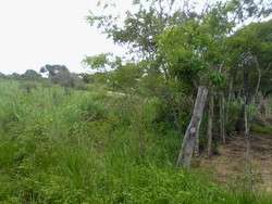 imagen de Terreno Gavilanes 2_1