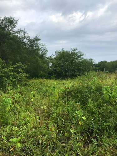 imagen de Amplio lote con gran potencial en Bucerias_1