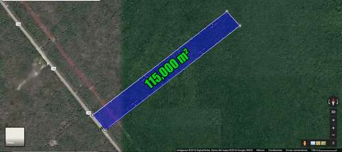 imagen de 11.5 Hectareas en Coba, Tulum Quintana Roo_1