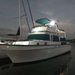 imagen de Choose your adventure!_1