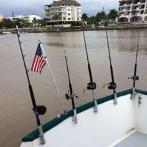 imagen de Catch your dinner!_1