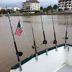 imagen de Catch your dinner!_1