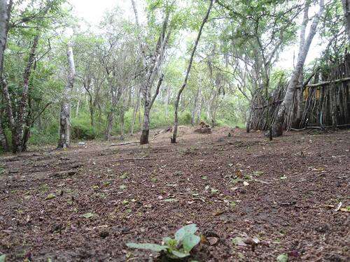 imagen de terreno en tomatlan_1