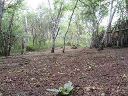 imagen de terreno en tomatlan_1