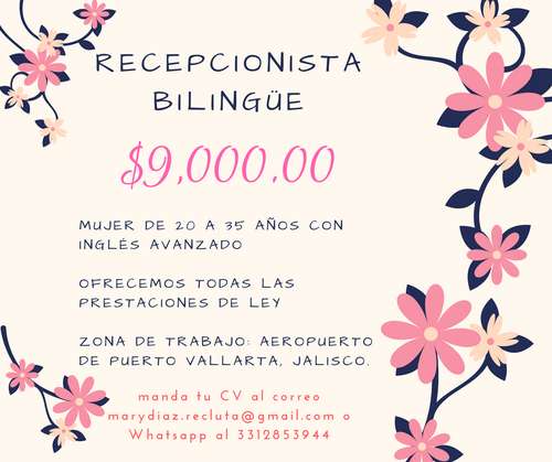 imagen de RECEPCIONISTA BILINGUE_1