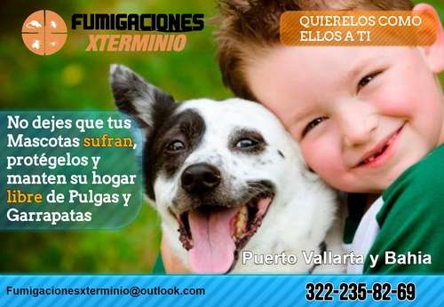 imagen de Fumigaciones Xterminio Puerto Vallarta y Bahia_1