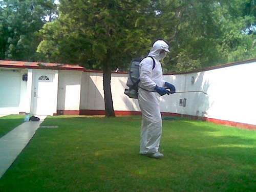 imagen de Promociones del Mes_1