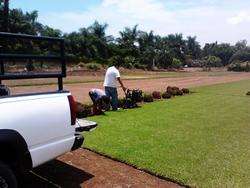 imagen de PASTO EN ROLLO San agustin, bermuda, kikuyo....._1
