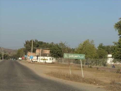 imagen de Terreno 11 Hectareas_1