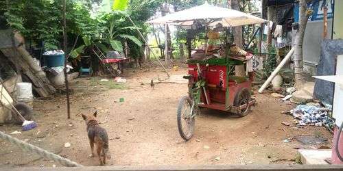 imagen de Terreno  de oportunidad cerca IMSS magisterio_1