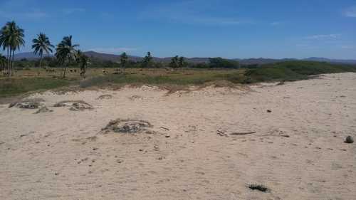 imagen de Terreno de Playa super economico_1