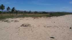 imagen de Terreno de Playa super economico_1