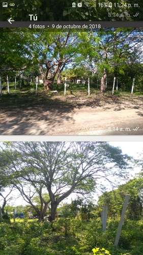 imagen de Mezcalez_1