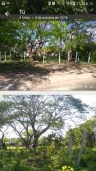 imagen de Mezcalez_1