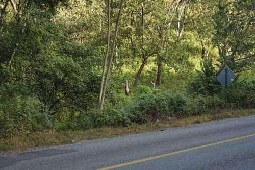 imagen de Terreno en venta, a 4 minutos del Jardin Botanico - Boca de Tomatlan_1