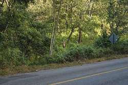 imagen de Terreno en venta, a 4 minutos del Jardin Botanico - Boca de Tomatlan_1