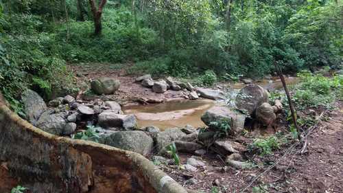 imagen de Terrenos para cabanas_1