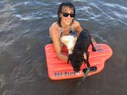 imagen de Cuido propiedad _1