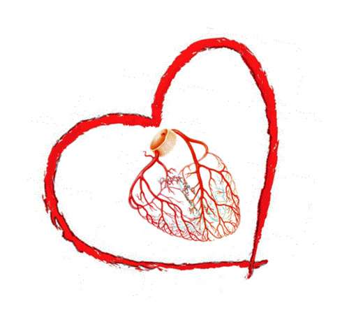 imagen de 30% DESCUENTO; SEGURO POLULAR, IMSS_1