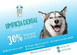 imagen de 30% OFF en Limpieza Dental_1