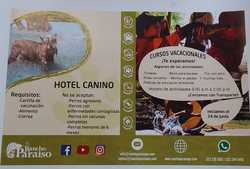 imagen de Hotel Canino_1