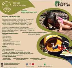 imagen de Curso de verano 2019_1