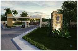 imagen de EL ROBLE_1