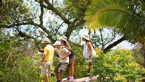 imagen de ACTIVIDADES DEL RESORT_1