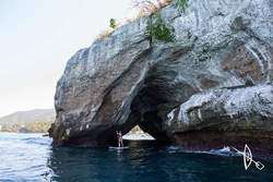 imagen de VIVE PUERTO VALLARTA_1